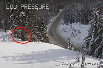 Was Bigfoot just spotted on a Washington State webcam?