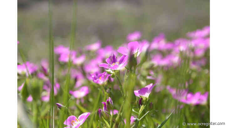 Reaction or thoughtful response? Our choice can make all the difference