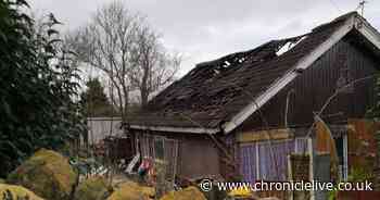 Cannabis farm discovered at Gateshead bungalow that has been 'gutted' by fire