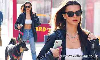 Emily Ratajkowski braves the NYC winter as she flaunts her taut midriff while walking dog Colombo
