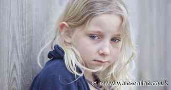 The number of sex offences against children in Wales reaches record high