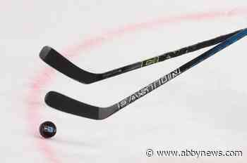 Hockey players in PEI warned of season suspensions for online trash talk