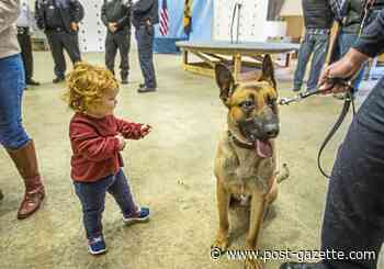 K-9 officers and their partners graduate from training