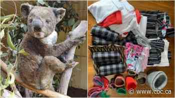 Albertans sew, knit, crochet their way to helping Australian wildfire rescue animals