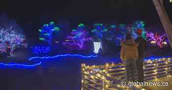 Lethbridge’s Nikka Yuko Japanese Garden calls 2020 Winter Lights Festival very successful