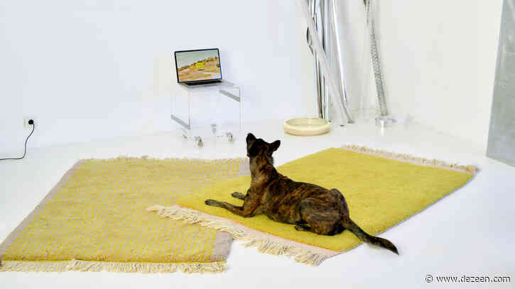 This week sofas and young designers were showcased at Maison&Objet