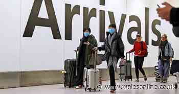 Officials search for 2,000 people in UK from China as deadly coronavirus reaches Europe