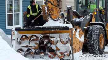 Eastern Newfoundland had a stunning blizzard — and then a singularly unco-ordinated response