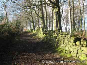 Following a trail into the past around historic Hurst Green