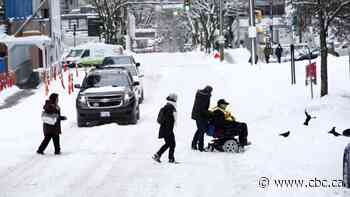 Drivers often entitled and distracted — and that's no fun for pedestrians