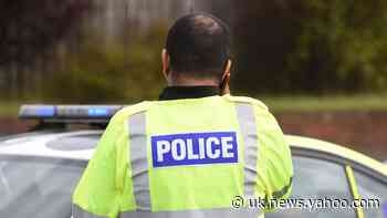 Concern for mother after newborn baby found dead in street