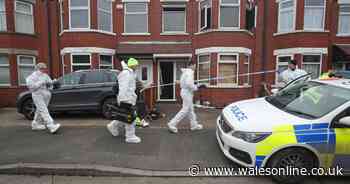 Man and eight-year-old girl die after house fire in Hull