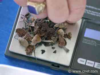 Magic mushrooms can cure depression? Maybe, says The Goop Lab     - CNET