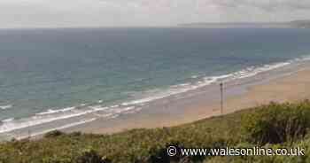 Royal Marine recruit dies after going 'under water' during training exercise in Cornwall