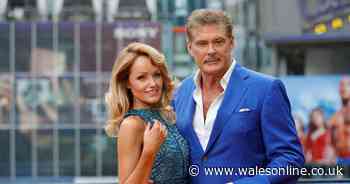 David Hasselhoff rules out having children with Welsh wife Hayley