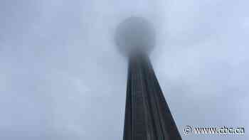 Fog patches in forecast after night of heavy rain