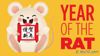 Happy Lunar New Year! 2020 is the Year of the Rat