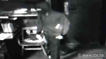 RCMP searching for suspect after attempted robbery in Macklin, Sask.