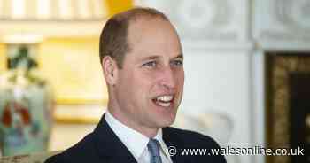 Prince William given new role as Harry and Meghan move to Canada