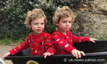 My life with autistic twins: 'Your family is cracking, but through the cracks comes light'