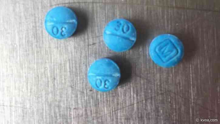 Feds, Arizona agencies seize 170,000 fentanyl pills in bust