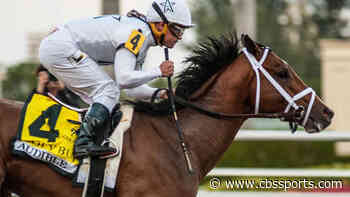 Pegasus World Cup 2020 lineup, field, contenders: Picks, predictions from dialed-in handicapping champion