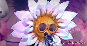 The Masked Singer's Daisy is revealed to be Kelis and viewers can't believe she's been voted out