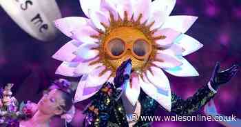 Who is Kelis - The Masked Singer's Daisy