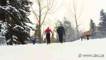 Skating rink at Aspen Campground expands options for winter activities