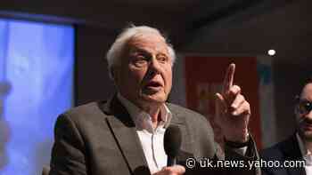 Sir David Attenborough warns climate action hindered by short government terms