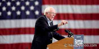 Here's how Democrats will elect their presidential nominee over the next several months