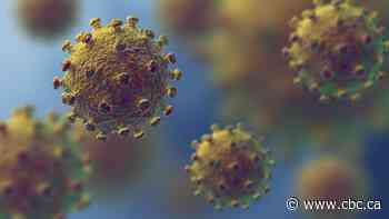 Canada announces 'presumptive' 1st case of coronavirus in Toronto
