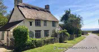The quaint country cottage that has a thatched roof and amazing seaside views