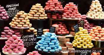 Lush is selling a new koala bear soap with the sale proceeds going towards helping animals in the Australian bushfires