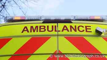 Woman arrested after man dies in garden of Co Wexford house
