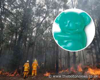 Lush launch koala soap in aid of Australian wildlife