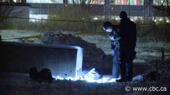 Woman attacked on York University campus was stabbed and shot, police say