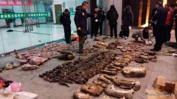 China has temporarily banned its wildlife trade because of the coronavirus outbreak