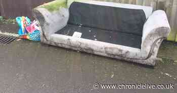 Birtley man's bid to help his daughter get rid of an old sofa landed him in court