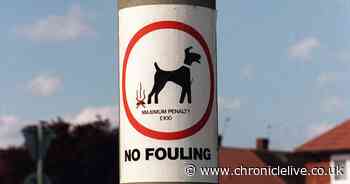 75 new homes are on their way to North Tyneside and the builder says they will sort out dog mess