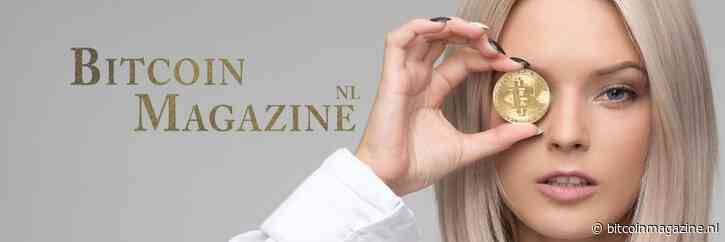 Man achter piramidespel Onecoin vraagt uitstel voor veroordeling