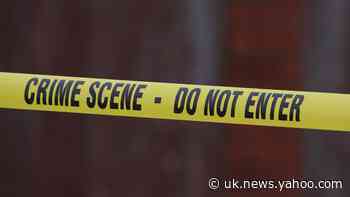 Police urge killer: ‘If you have any conscience at all, hand yourself in’