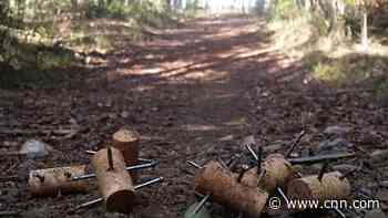 Runner finds dangerous spikes hidden on popular nature trail