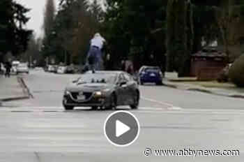 Man clings to roof of car driving along busy road in Maple Ridge