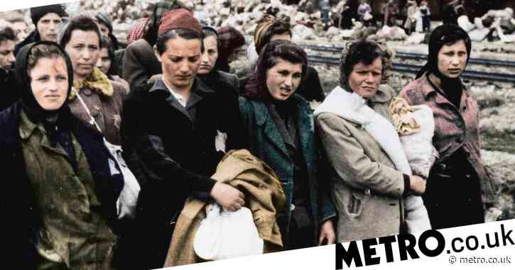 Woman recalls moment she was sent to concentration camp on her wedding day in Auschwitz: Untold in Colour