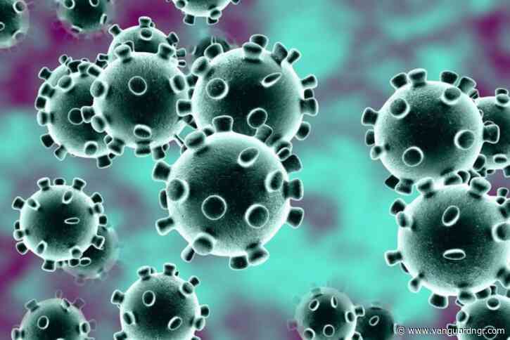 CORONAVIRUS: Risk of spread very high — WHO