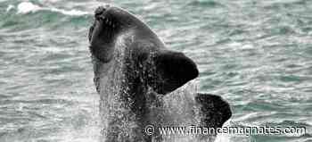 Whale Alert: 42% MakerDAO’s Collaterals Centralized in 2 Wallets