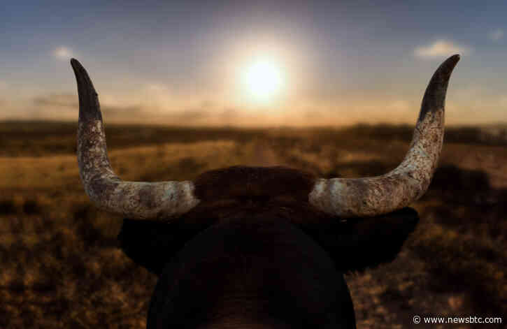 Historically Accurate Bitcoin Price Indicator Just Signaled Start to a Long-Term Bull Market