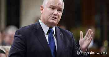 Erin O’Toole to announce bid for Conservative leadership in Alberta