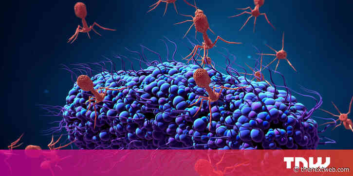 Scientists are reengineering viruses to fight antibiotic resistance